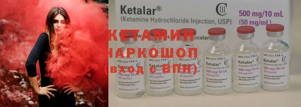 индика Богданович