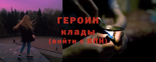 индика Богданович