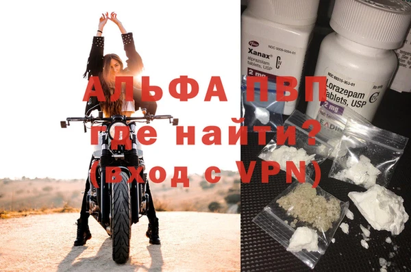 индика Богданович