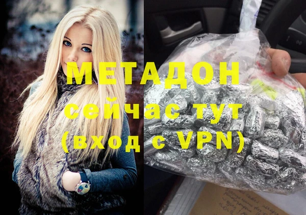 индика Богданович