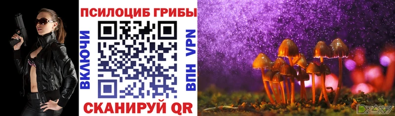 Псилоцибиновые грибы Psilocybine cubensis  Гаврилов-Ям 